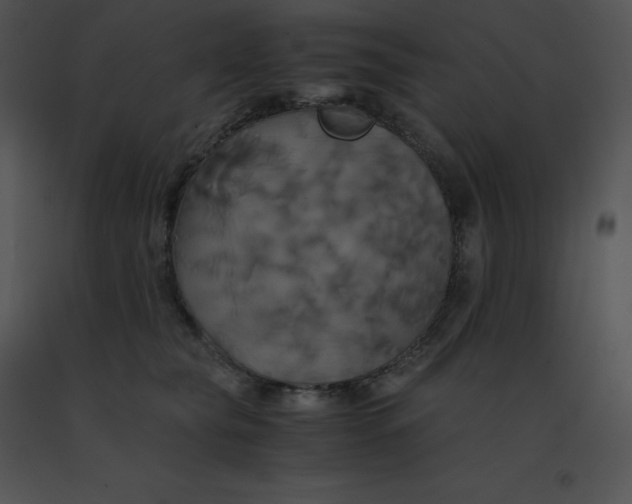 X0000091540565200708311334