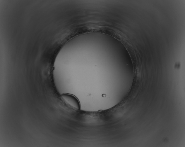 X0000091540567200708311334