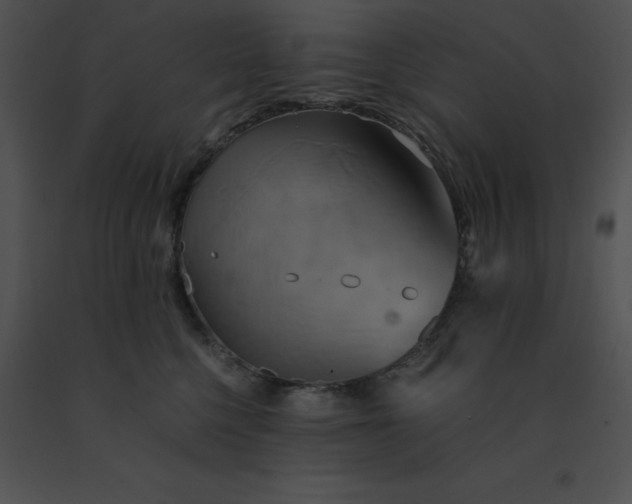 X0000091540568200708311334