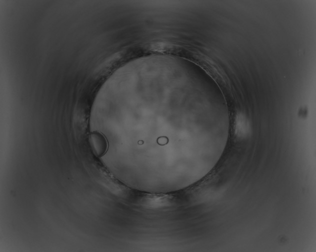 X0000091540569200708311334