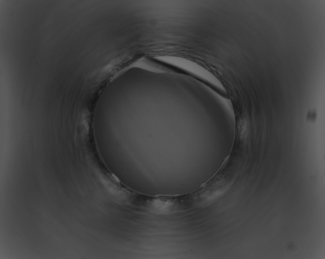 X0000091540570200708311334