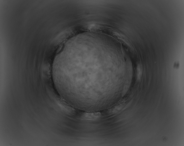 X0000091540571200708311334