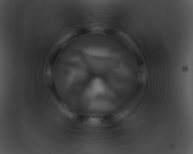 X0000091540573200708311334
