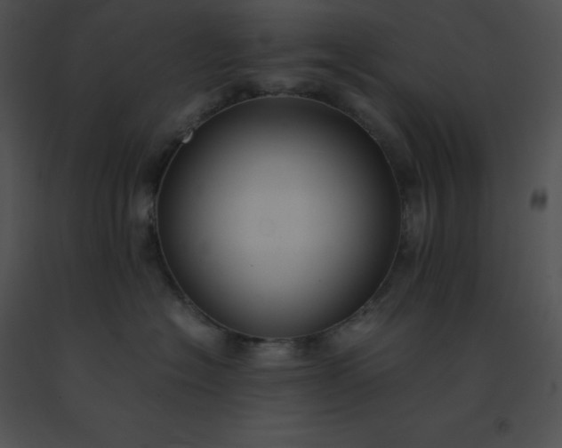 X0000091540574200708311334