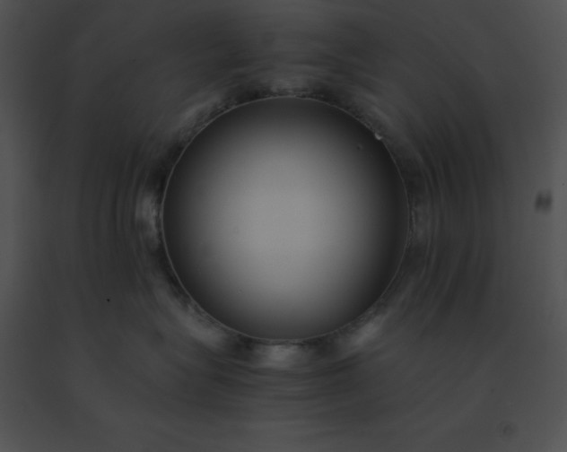 X0000091540575200708311335