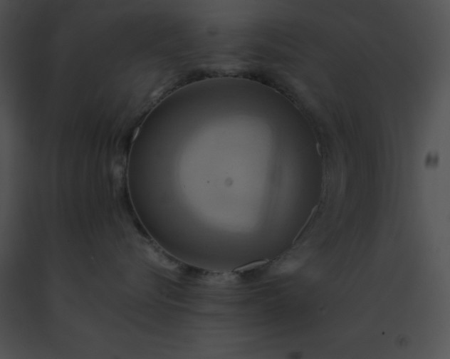 X0000091540576200708311335