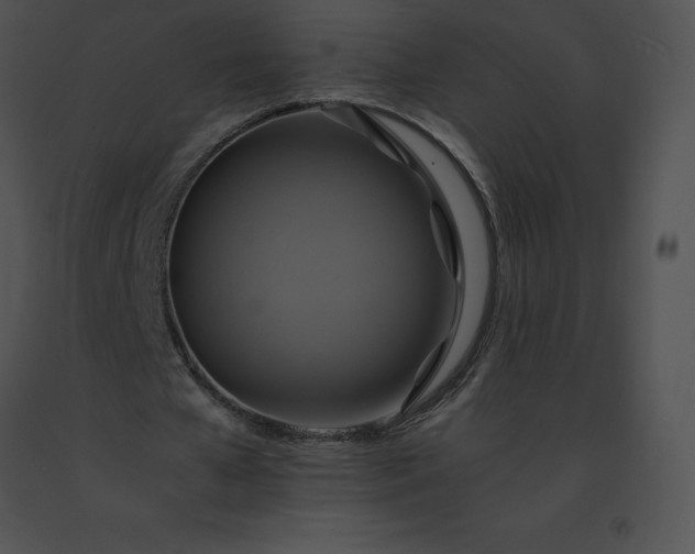 X0000091540577200708311334