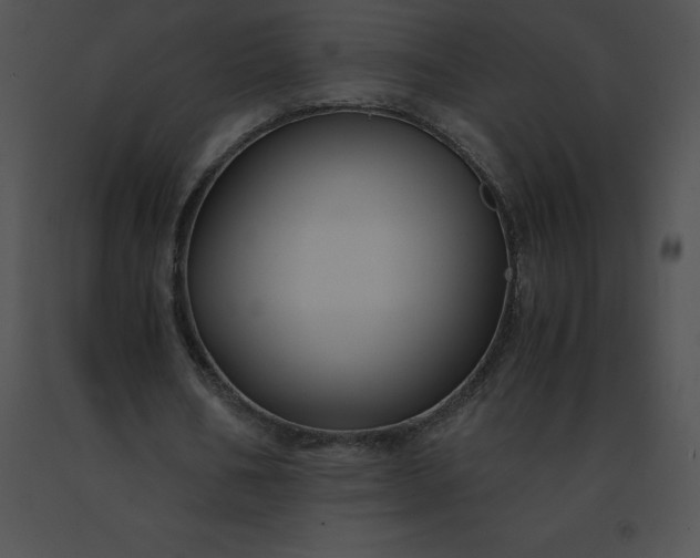 X0000091540578200708311334
