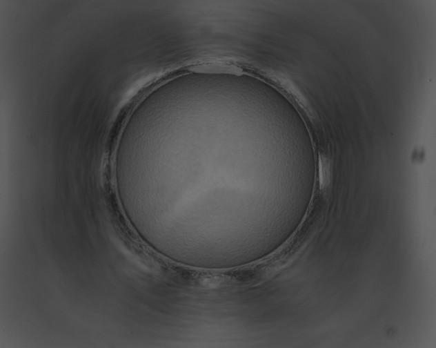 X0000091540579200708311334