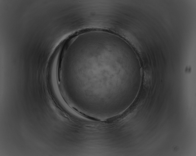 X0000091540580200708311334
