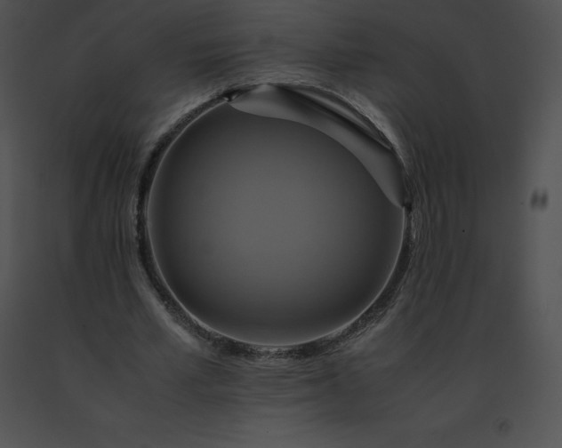 X0000091540581200708311334