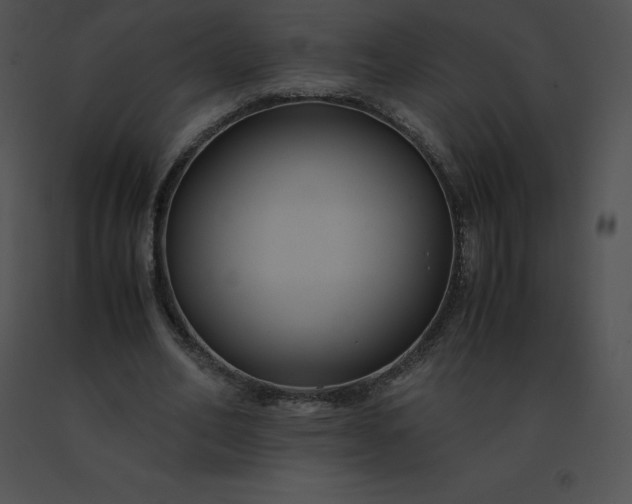 X0000091540582200708311334
