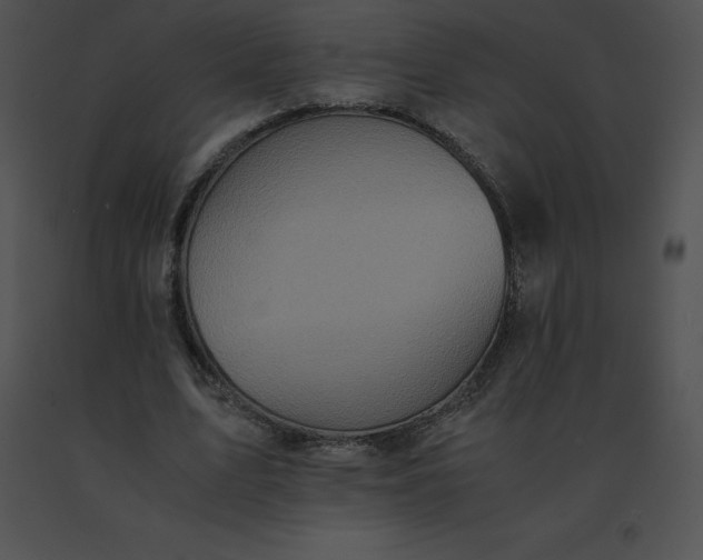 X0000091540583200708311334