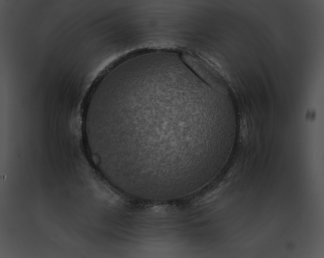 X0000091540584200708311334
