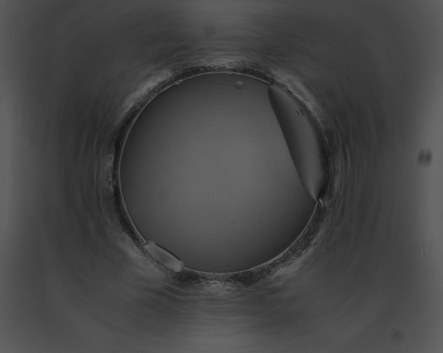 X0000091540585200708311334