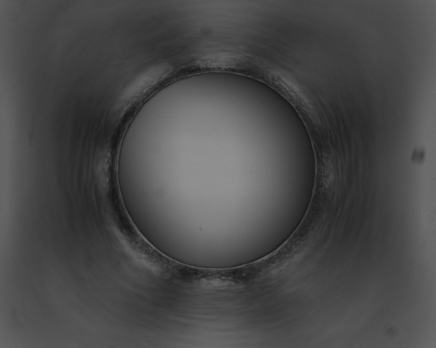 X0000091540586200708311334