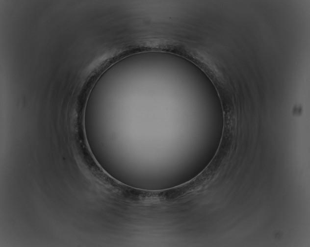 X0000091540587200708311334