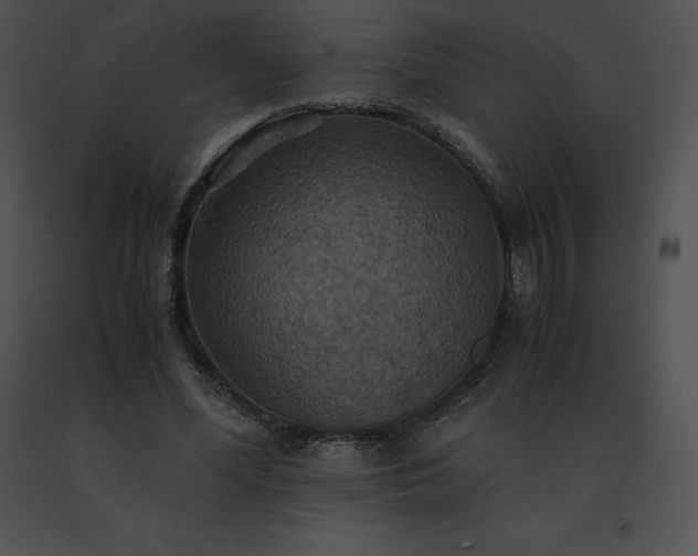 X0000091540588200708311334