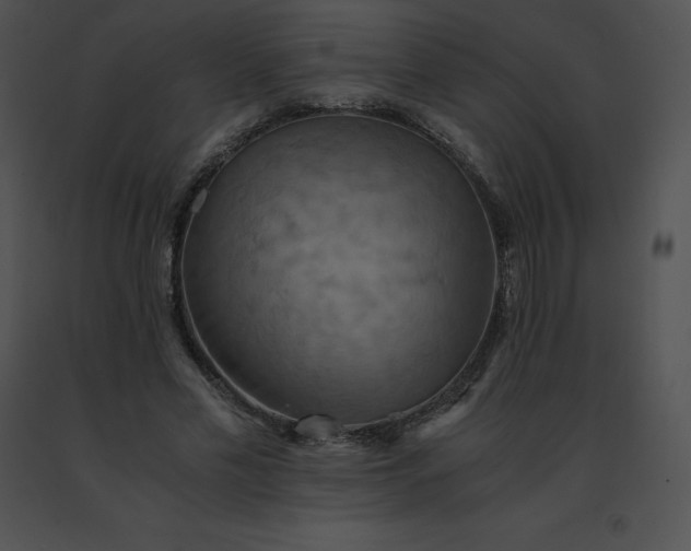 X0000091540589200708311334