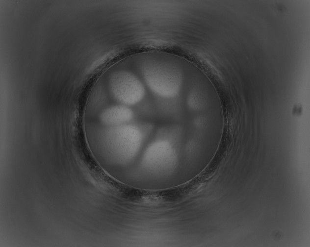 X0000091540591200708311334