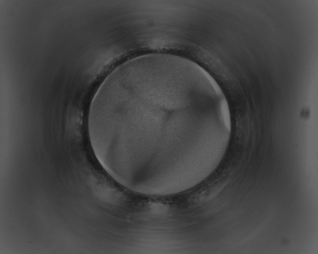 X0000091540592200708311334