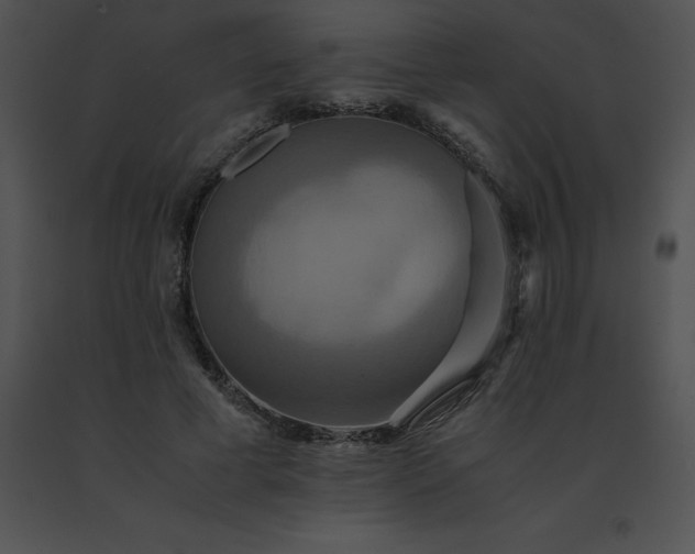 X0000091540593200708311334