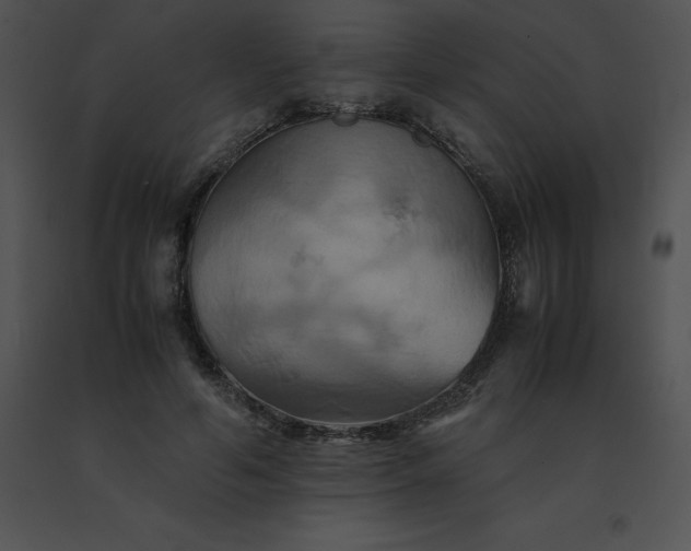 X0000091540594200708311334