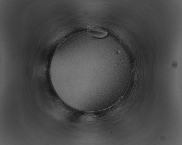 X0000091540595200708311334
