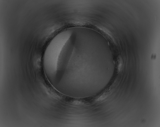 X0000091540596200708311334