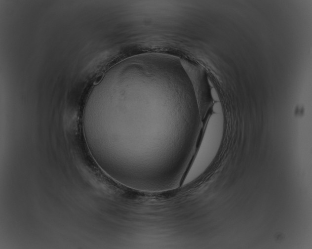 X0000091540597200708311334