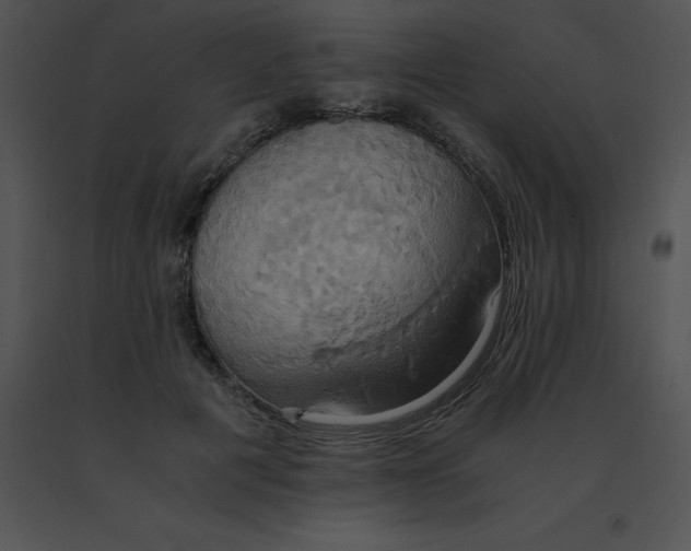 X0000091540601200708311334