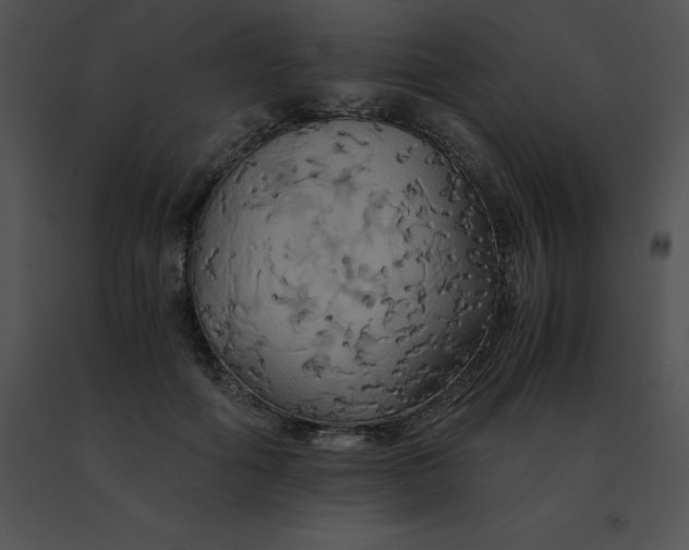 X0000091540602200708311334