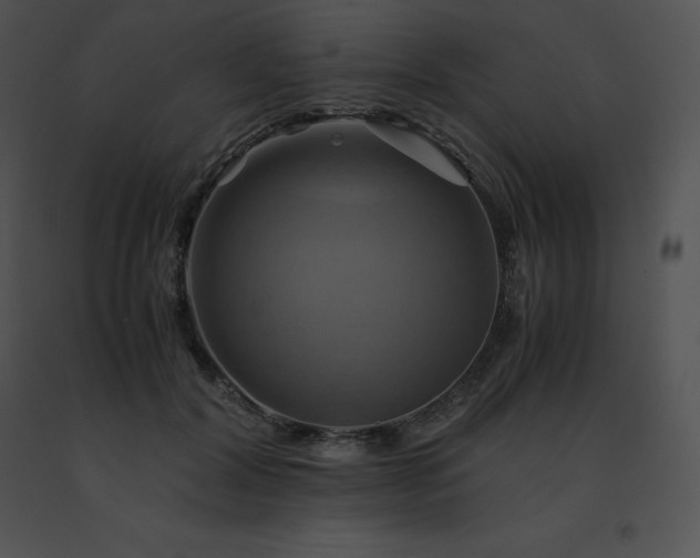 X0000091540604200708311334