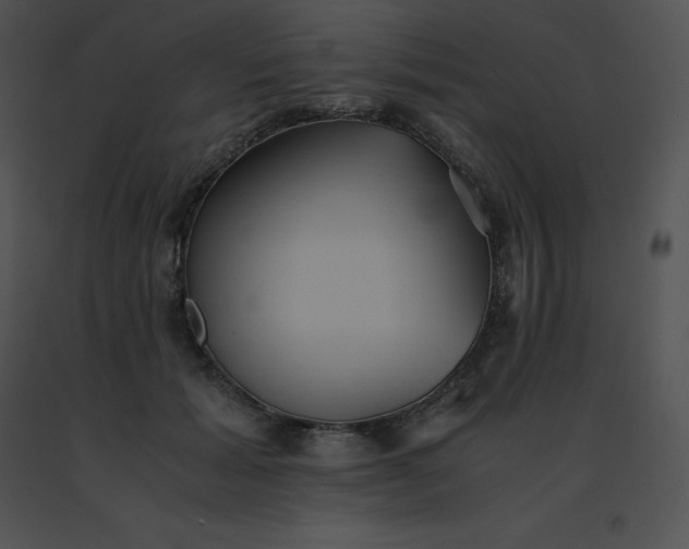X0000091540605200708311334