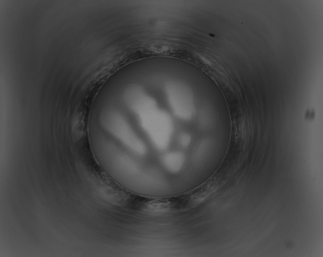 X0000091540606200708311334