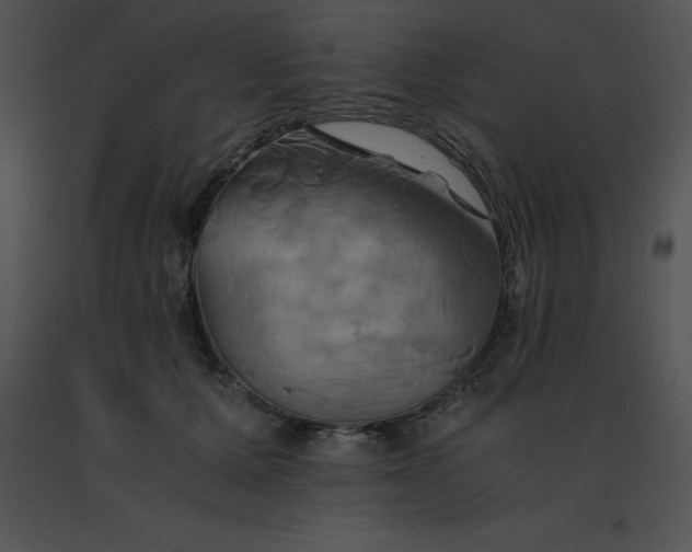 X0000091540607200708311334