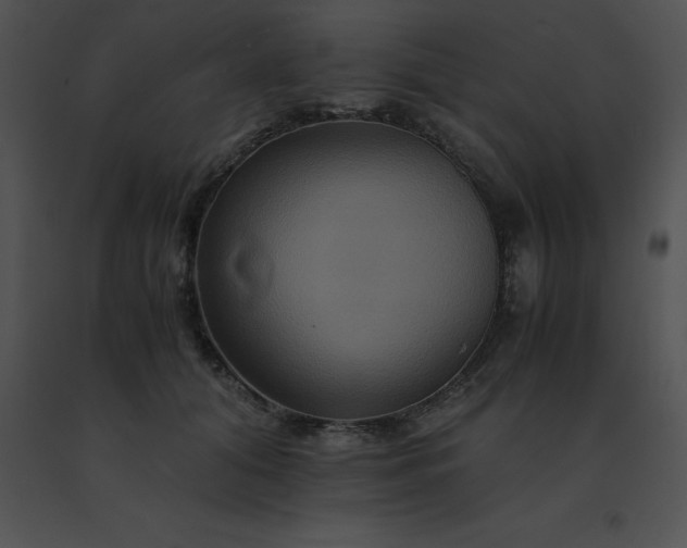 X0000091540608200708311334