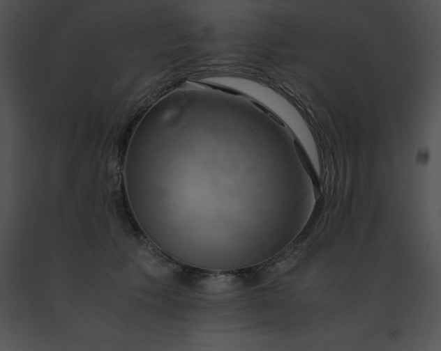 X0000091540609200708311334