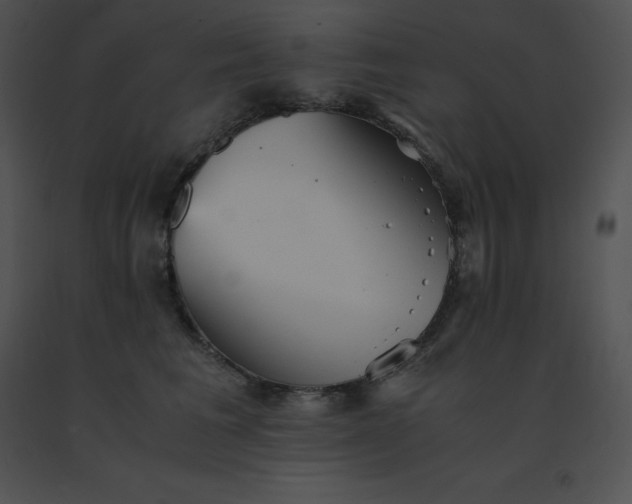 X0000091540613200708311333