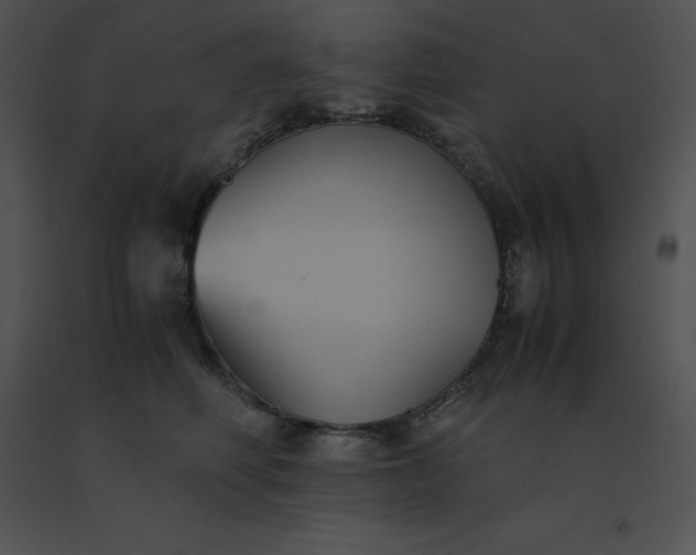 X0000091540614200708311333