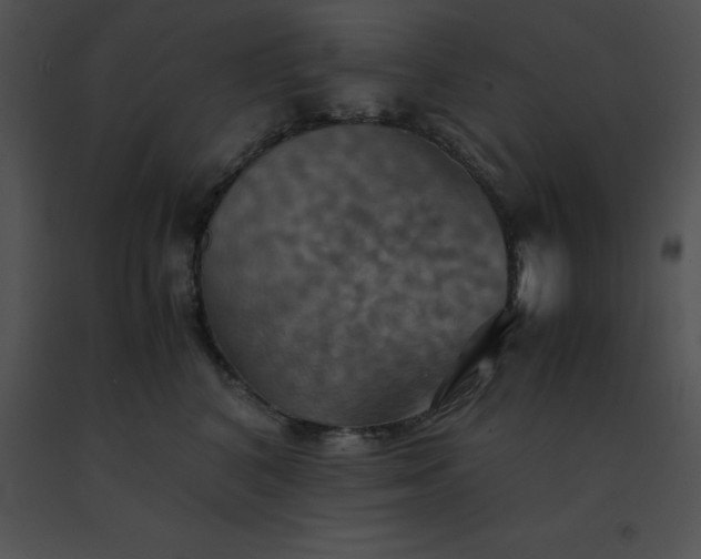 X0000091540616200708311333