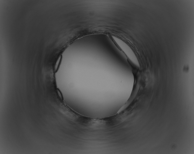 X0000091540617200708311333