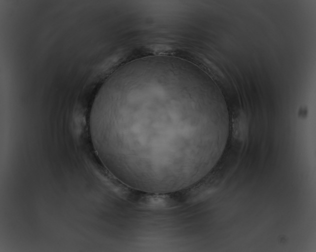 X0000091540618200708311333