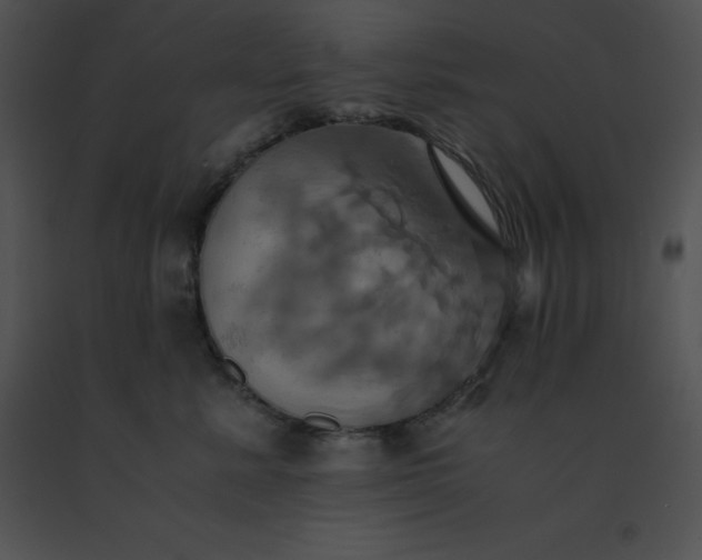 X0000091540619200708311333