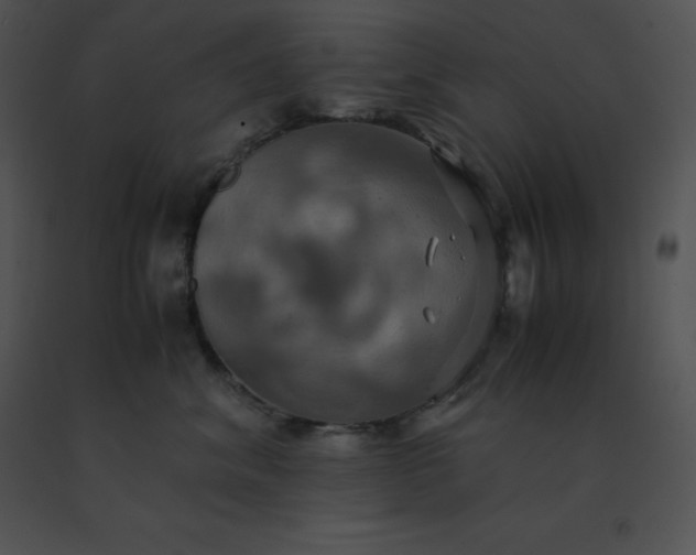 X0000091540620200708311333