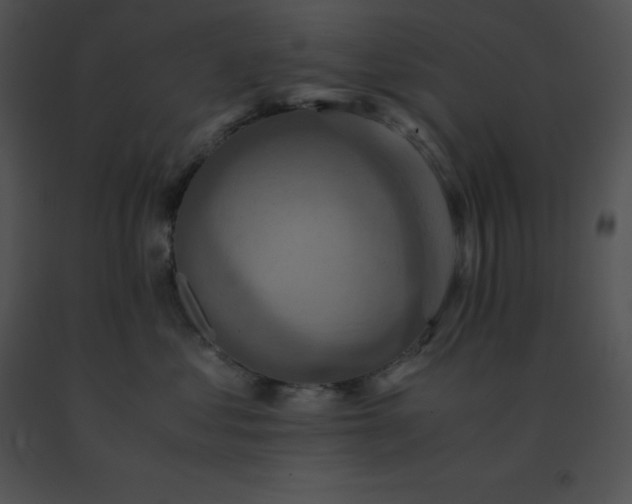 X0000091540621200708311333