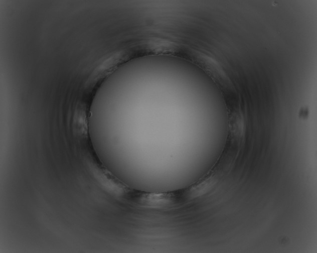 X0000091540622200708311333