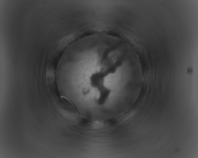 X0000091540623200708311333