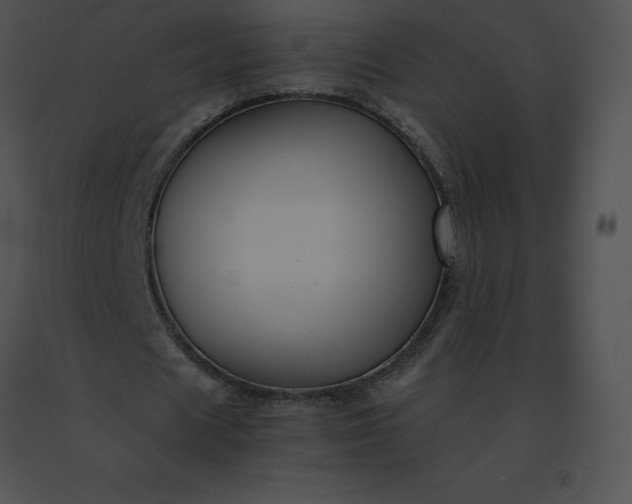 X0000091540625200708311333