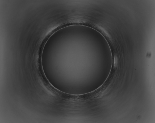 X0000091540627200708311333